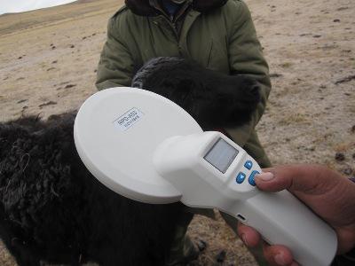 圖5 芯片成功掃描,芯片植入成功